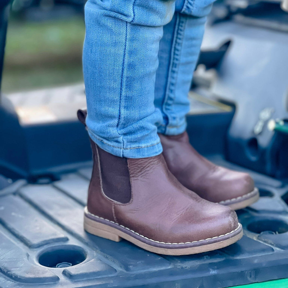 Kids' Chelsea Boots Chocolate Footwear Cardin McCoy 